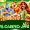 3y Premium Casino App