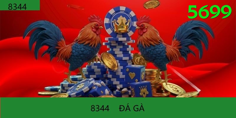 Đá Gà Trực Tiếp - 5699 - Tặng code